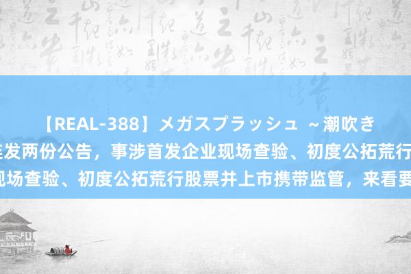 【REAL-388】メガスプラッシュ ～潮吹き絶頂スペシャル～ 监管连发两份公告，事涉首发企业现场查验、初度公拓荒行股票并上市携带监管，来看要点！