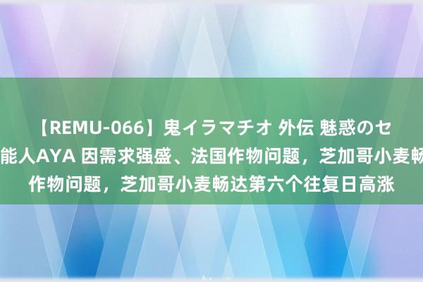 【REMU-066】鬼イラマチオ 外伝 魅惑のセクシーイラマチオ 芸能人AYA 因需求强盛、法国作物问题，芝加哥小麦畅达第六个往复日高涨