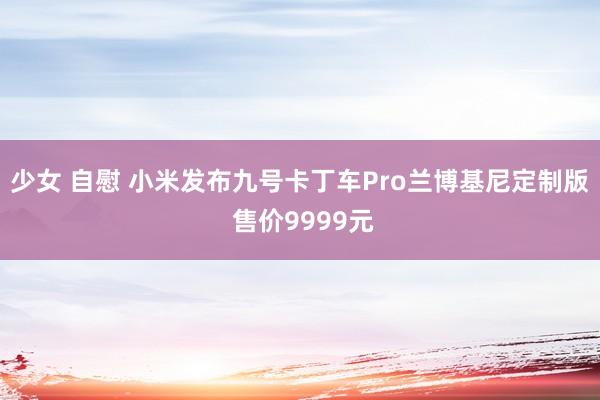 少女 自慰 小米发布九号卡丁车Pro兰博基尼定制版 售价9999元